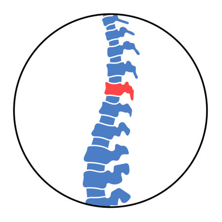 Human internal organsのイラスト素材