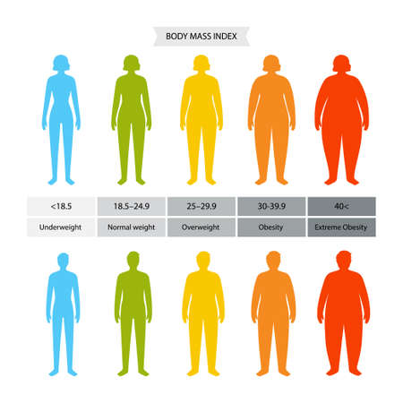 Body mass indexのイラスト素材