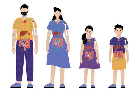 Lymphatic system in human bodyのイラスト素材