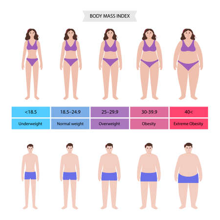 Body mass indexのイラスト素材