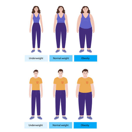 Body mass indexのイラスト素材