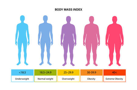 Body mass index man illustrationのイラスト素材