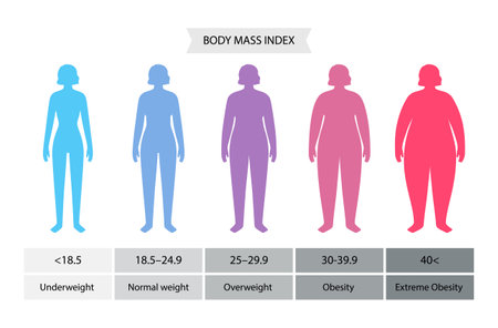 Body mass index womanのイラスト素材