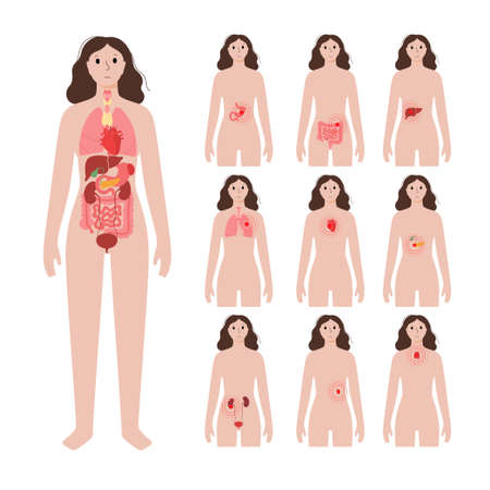 Pain in woman bodyのイラスト素材