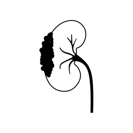 Kidney disease concept