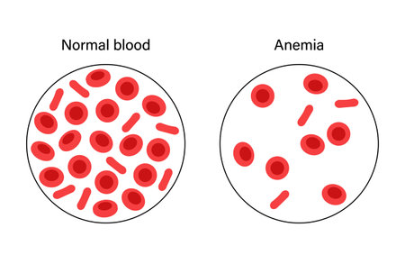 Blood structure conceptのイラスト素材