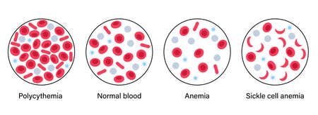 Blood structure concept illustrationのイラスト素材