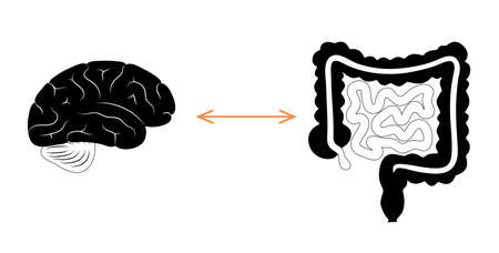 Gut brain connectionのイラスト素材