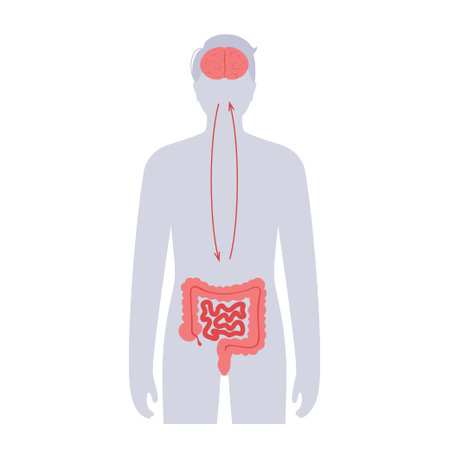 Gut brain connection