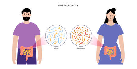 Gut brain connectionのイラスト素材