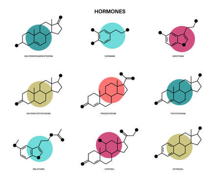 hormones molecular formulaのイラスト素材
