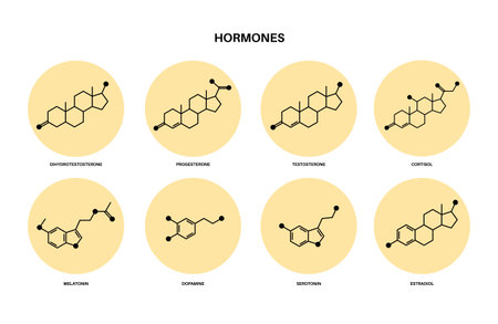 hormones molecular formulaのイラスト素材