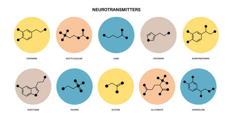 Chemical formulas of neurotransmittersのイラスト素材