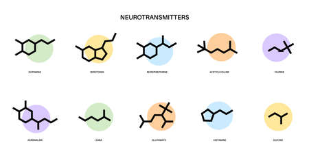 Chemical formulas of neurotransmittersのイラスト素材