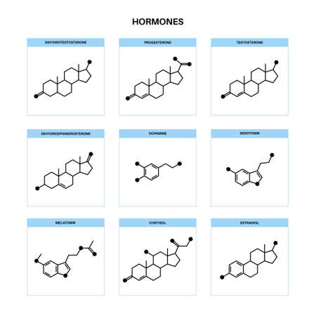 hormones molecular formulaのイラスト素材
