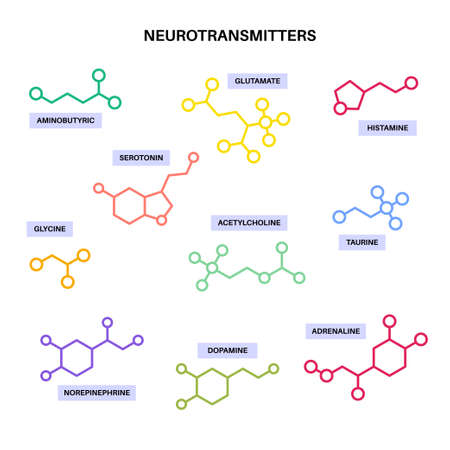 Chemical formulas of neurotransmittersのイラスト素材