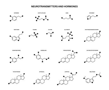 Hormones and neurotransmittersのイラスト素材