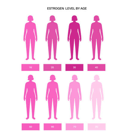 Testosterone estrogen levelのイラスト素材