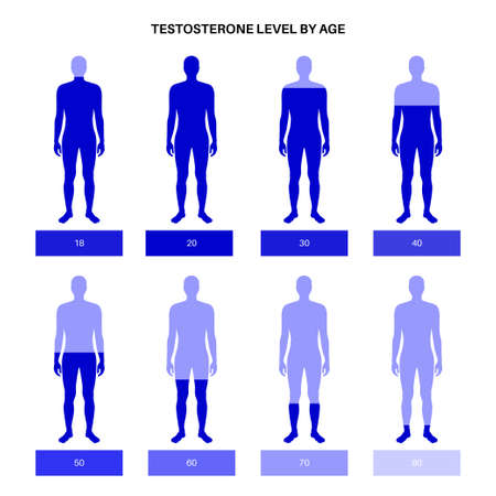 Testosterone level chartのイラスト素材