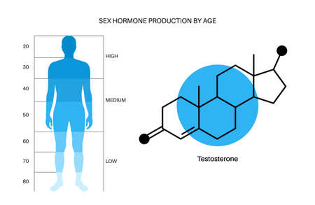 Testosterone level chartのイラスト素材