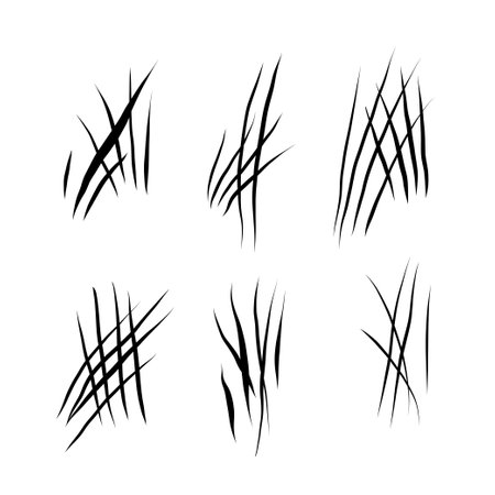 animal scratches setのイラスト素材