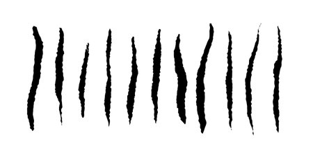 animal scratches setのイラスト素材