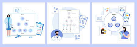 Spermatogenesis and cell division. Diploid cells. Doctor in lab, DNA replication. Human reproductive system concept. Medical, biology, anatomical poster for clinic. Genetic center vector illustration.のイラスト素材