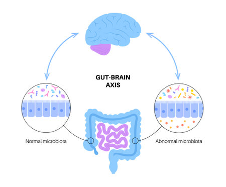 Gut brain connectionのイラスト素材