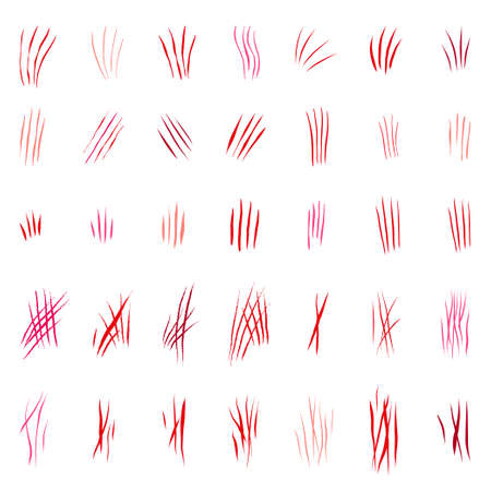 animal scratches setのイラスト素材