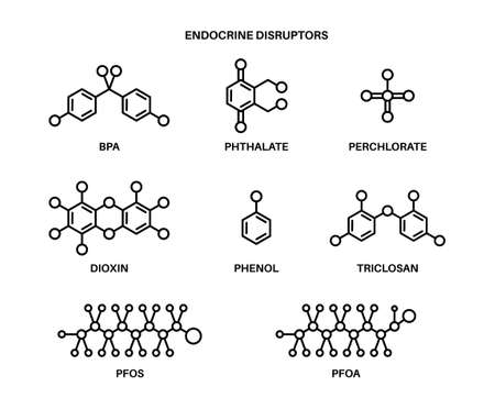 Endocrine disruptors formulaのイラスト素材