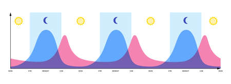 Sleep wake cycleのイラスト素材