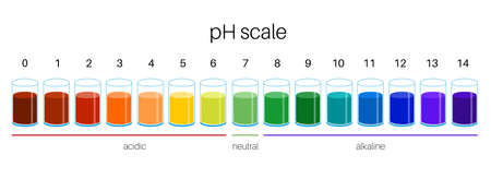 PH scale diagramのイラスト素材