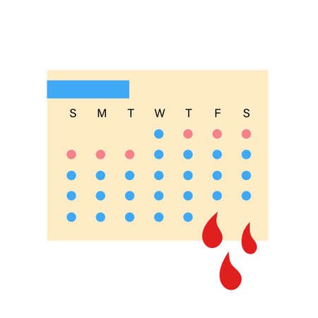 Menstrual calendar conceptのイラスト素材