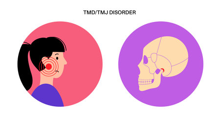 TMD TMJ disorderのイラスト素材