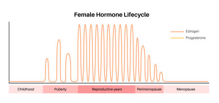 Hormones in pregnancyのイラスト素材