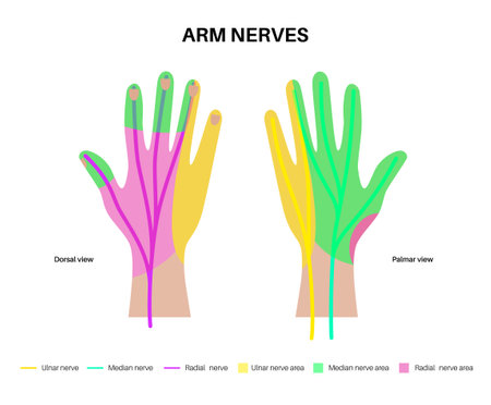 Nerves of the handのイラスト素材