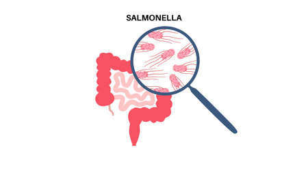 .Salmonella Typhimurium Cellsのイラスト素材