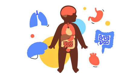 Internal organs of the childのイラスト素材