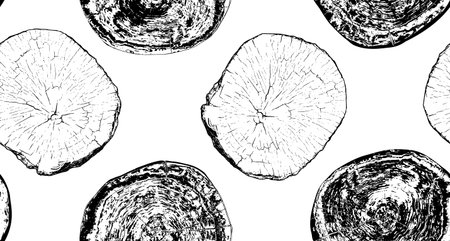Wood cross sectionのイラスト素材