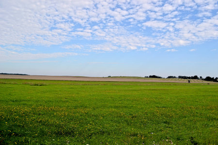 meadowの写真素材