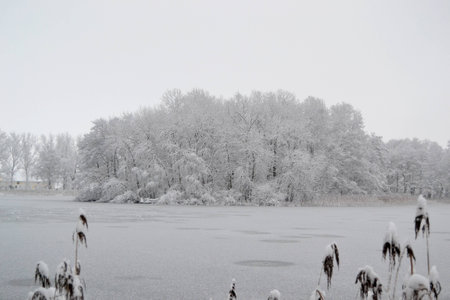 Frozen lake in a snowy landscapeの写真素材