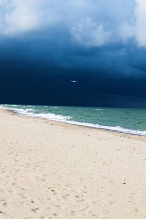 Summer on the Baltic beachの写真素材