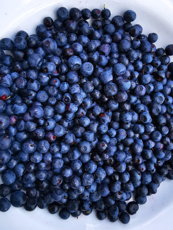 Blueberry (Vaccinium myrtillus). Blueberry fruit on a plate.