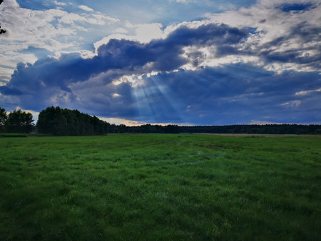 Green meadow in the background of the cloudy sky with sunrays.