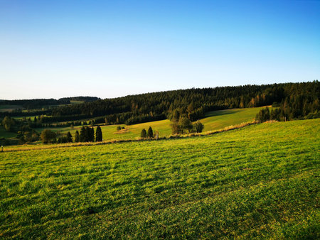 Green meadow in the mountain scenery.