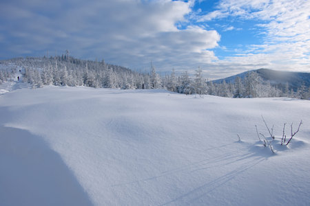 Winter in the Polish Mountains. Silesian Beskids.