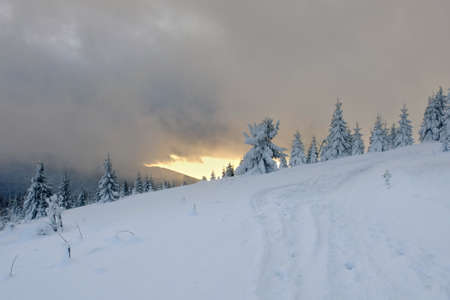 Winter sunrise. Frosty morning in the mountains. Sunrise in the mountains.の写真素材