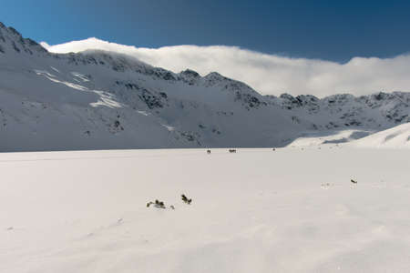 Tourists on the frozen large pond in the valley of the Five Ponds. Winter Tatra Mountains, mountain landscape. January in the Valley of Five Ponds in the Tatra Mountains.の写真素材