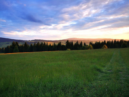 Mountain clearing during the sunset. Flowery meadow Low Beskid.