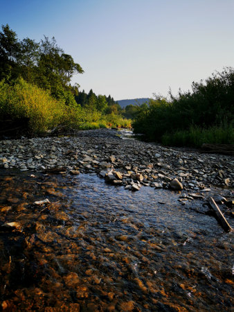 Water flowing in a shallow stream revealing stones.の写真素材
